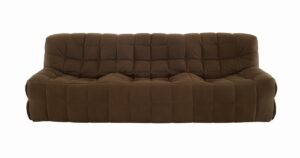 brown two seater Kashima couch from Ligne Roset