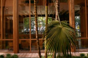 exterior view of ROOMS Batumi with palm tree