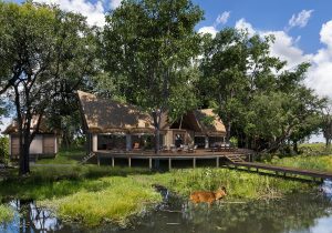 wooden walkway over the water for viewing animals and thatched roof cottages in Sitatunga