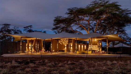 tented safari camp and thorn trees at dusk at Angama-Amboseli Kenya