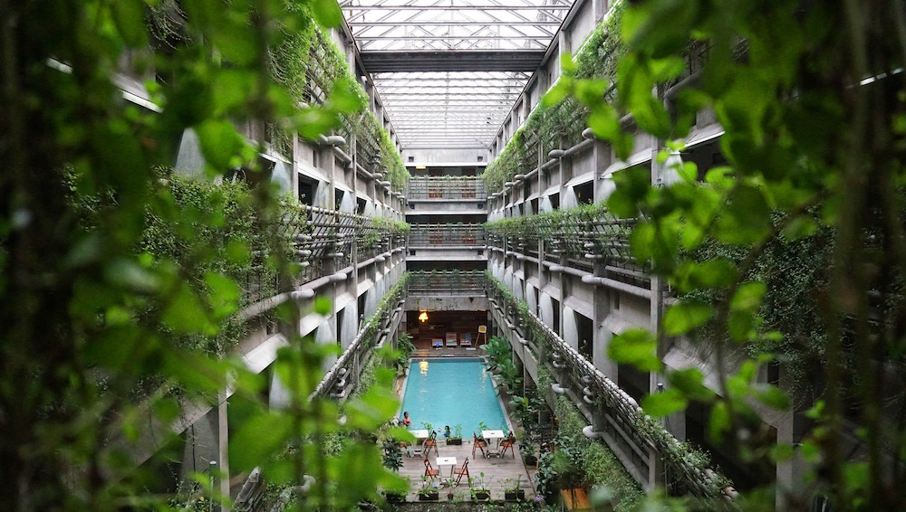 Large hotel atrium with living walls