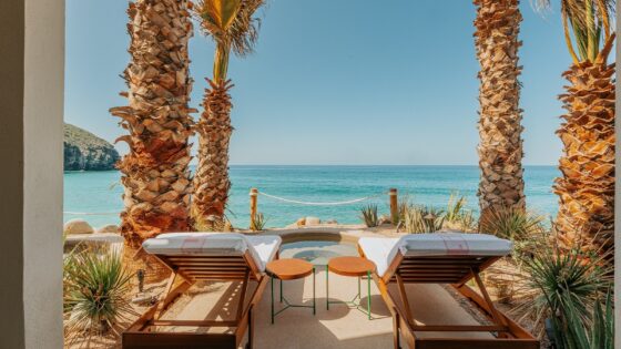 2 sun loungers between palm trees on the beach at hotel San Cristobal