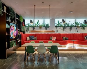 orange seating below windows with plants in CitizenM