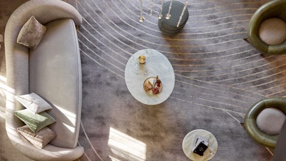 aerial view looking down on cream curved sofa on carpet with curved lines in white and cream by Modieus in the Playford Hotel