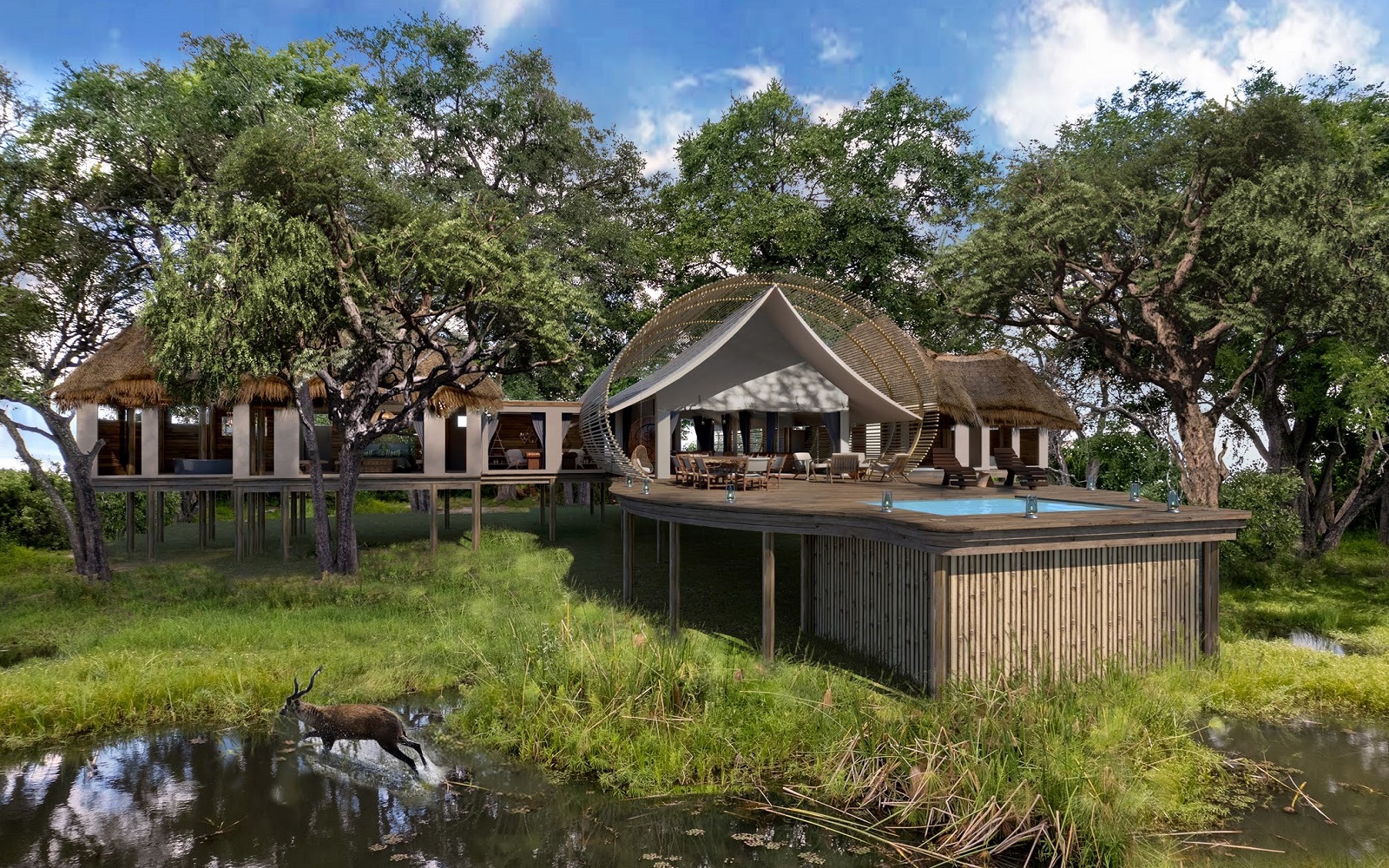 render showing private suite and swimming pool with thatched cabin overlooking the water of okovango delta at sitatunga Private Island